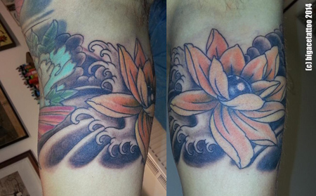 cover up koi 5