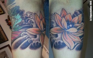 cover up koi 5